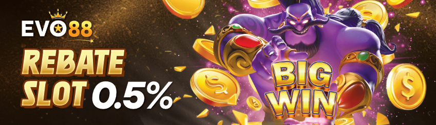 BONUS REBATE SLOT 0.5%